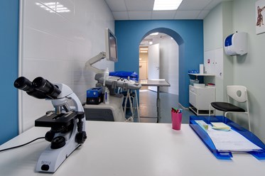 Фото компании  От носа до хвоста 2