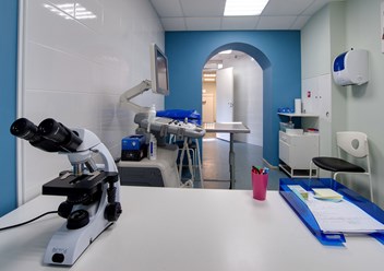 Фото компании  От носа до хвоста 2