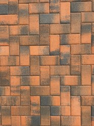 Фото компании  Мега-Пресс 2