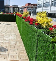 Фото компании  ГринО'Град 3