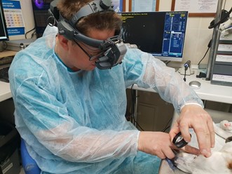 Фото компании  Центр ветеринарной офтальмологии доктора Шилкина А.Г. на  5-ой Парковой 5