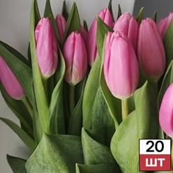 Фото компании  Не Букет 3