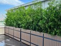 Фото компании ООО Цветочная семья 1