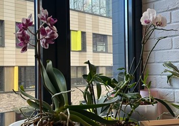 Фото компании  Iris Travel Group 4