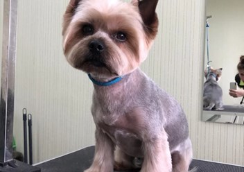 Фото компании  Одуван 2