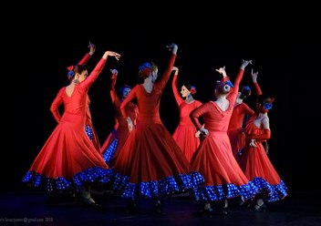 Студия танца фламенко Viento de faldas
