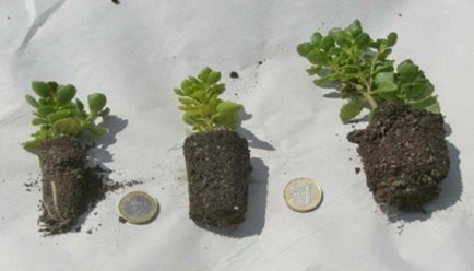 Фото компании ООО Roofcoat 44