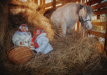 Фото компании ООО Частный конный клуб на Химмаше 8