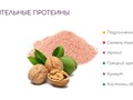 Растительные протеины
