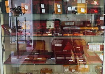 Фото компании  «АвтоСвет» 2