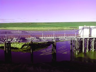 Пякяхинское месторождение