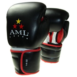 Боксерские перчатки AML STAR цена 2390 руб.