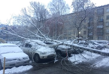 Фото компании  Филиал федерального бюджетного учреждения "Российский центр защиты леса" - "Центр защиты леса Новосибирской области" 1