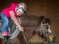 Краснодарский ипподром пони-спорт для детей