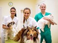 Фото компании ООО Белый Бим на Пловдинской 4