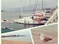 Фото компании  Suolo Italiano Благодарный Геленджик 5