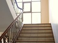 Экстерьер_01