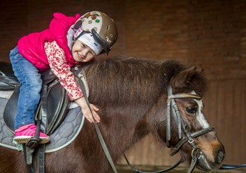 Краснодарский ипподром пони-спорт для детей