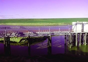 Пякяхинское месторождение