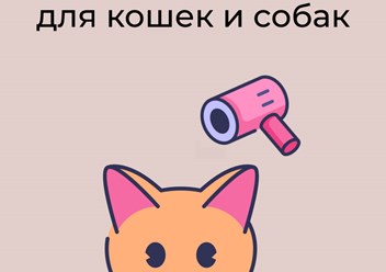 Фото компании  Кабинет красоты для кошек и собак 1