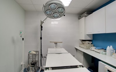 Фото компании  От носа до хвоста 11