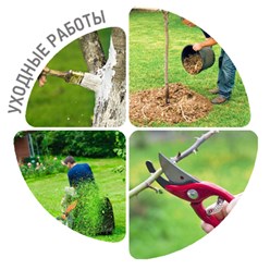 Фото компании  Ландшафтный дизайн Московской области | Home Green Garden 5