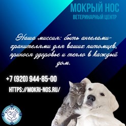 Фото компании ООО Мокрый нос 13