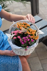 Фото компании  Green Art 12