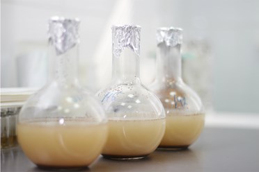 Все этапы производства биопрепаратов контролируются в лаборатории