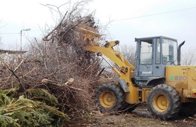 Расчистка территории под строительство от кустарника и мелколесья.