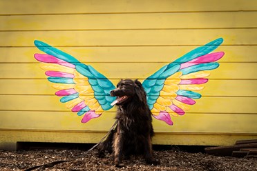 Фото компании  РОО «Экология человека» 20