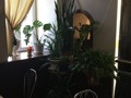 Фото компании  Маленькая Венеция, ресторан итальянской кухни 1