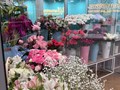Фото компании  Цветочки 6