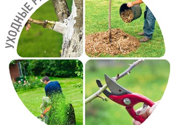 Фото компании  Ландшафтный дизайн Московской области | Home Green Garden 5