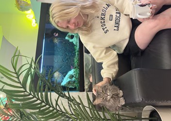 Фото компании ИП Школа вокала №1 3