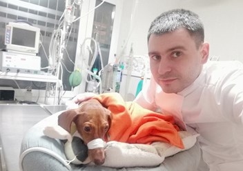 Фото компании ООО Кабинет ветеринарной медицины 2