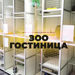 Фото компании  Доктор Пух 18