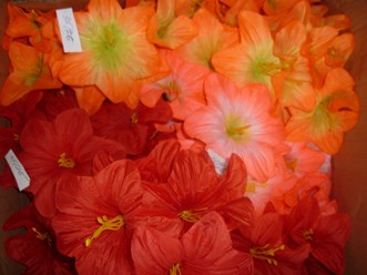 Фото компании  55опторг 29