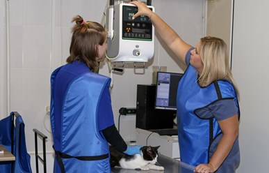 Фото компании ООО Планета 20