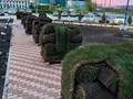 Фото компании ООО Growzone 4