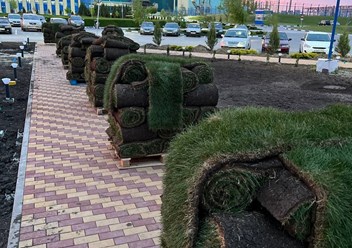 Фото компании ООО Growzone 4