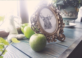 Фото компании  Одесса 5