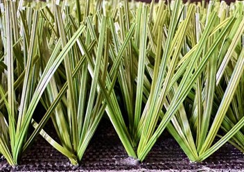 Фото компании  Армада Грасс 3