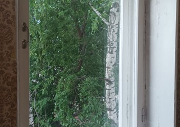 Фото компании  Сияй 2