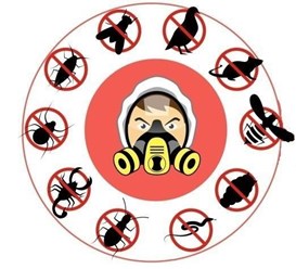 Услуги по дезинфекции и уничтожению насекомых и грызунов