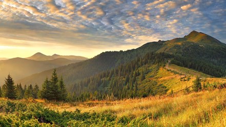Фото компании  GoTravel 6