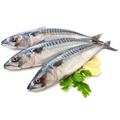 Фото компании  Miato 30