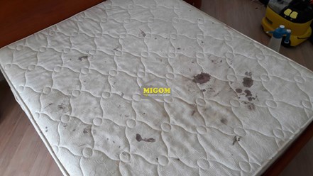 Фото компании  MIGOM 17
