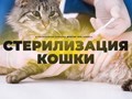 Фото компании  Доктор Пух 5