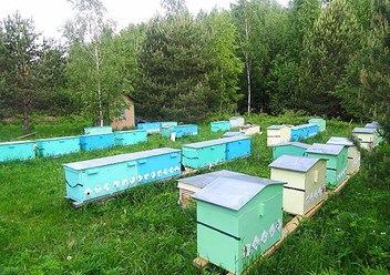 Фото компании РОО Центр Русского Пчеловодства 2